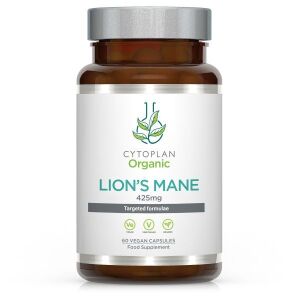 Lion's Mane – 60 vegetabiliska kapslar – Viking Supplements