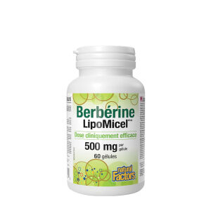 Natural Factors Berberine LipoMicel Matrix (60 mjuka kapslar) – Viking Supplements