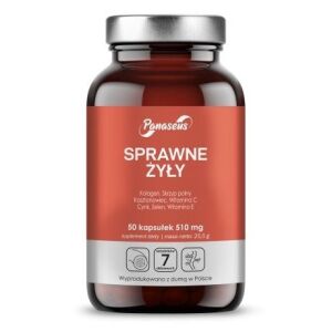 PANASEUS Efficient veins (50 kapslar) – Viking Supplements