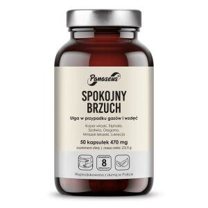 PANASEUS Stomach at ease (50 caps) - Viking Supplements