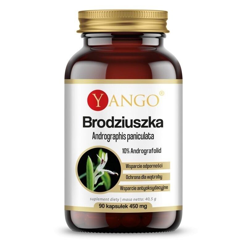 YANGO Andrographis paniculata (90 kapslar) – Viking Supplements