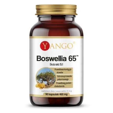YANGO Boswellia 65 (90 kapslar) – Viking Supplements